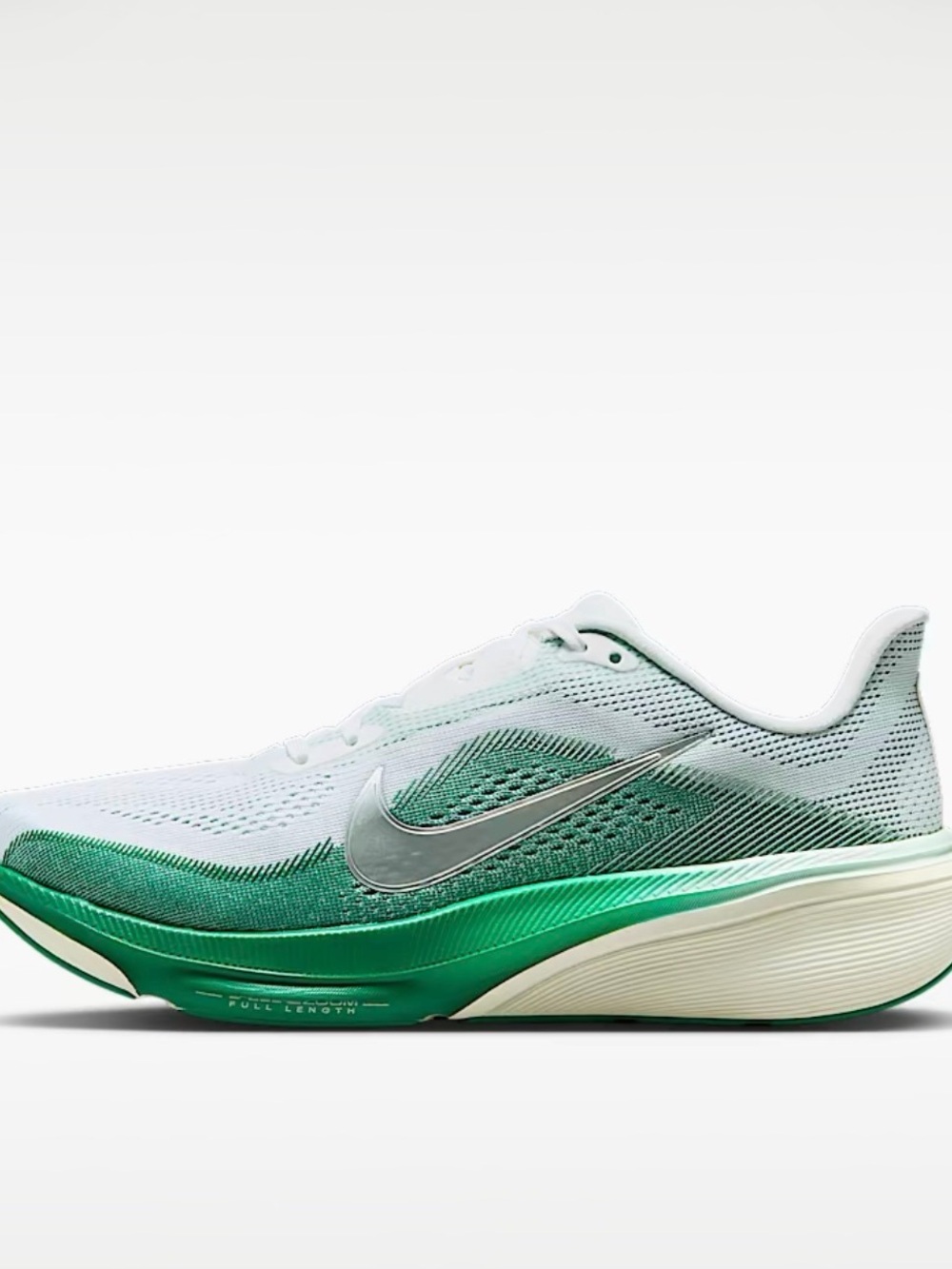 Nike pegasus 42